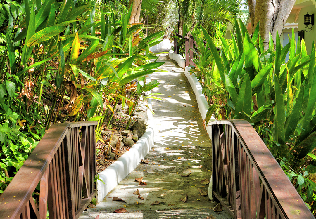 marigot-path