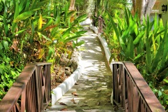 marigot-path