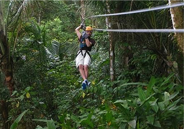 treetop zip trip st lucia