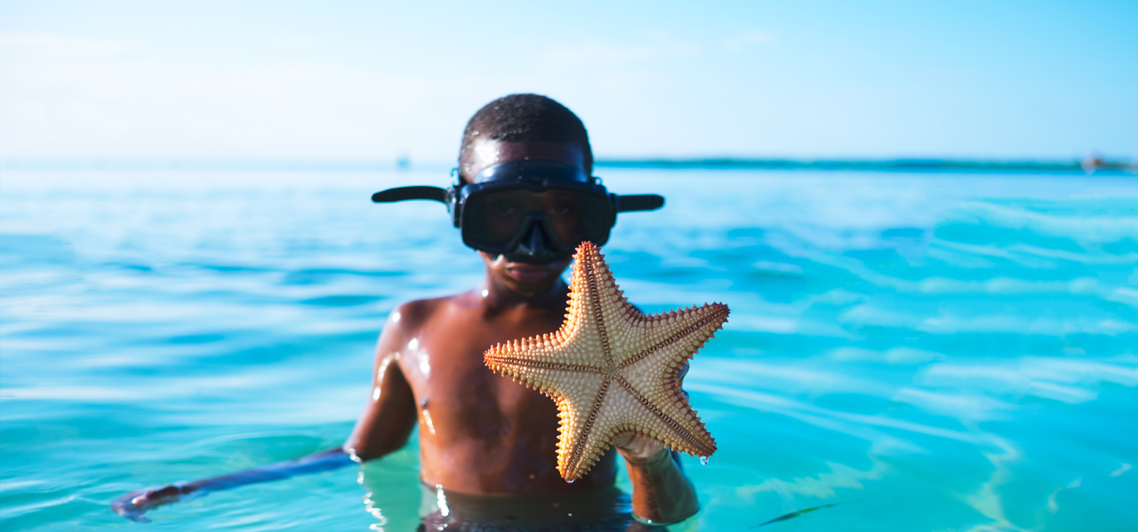 St Lucia Snorkeling Adventure| Marigot Beach Club & Dive Resort